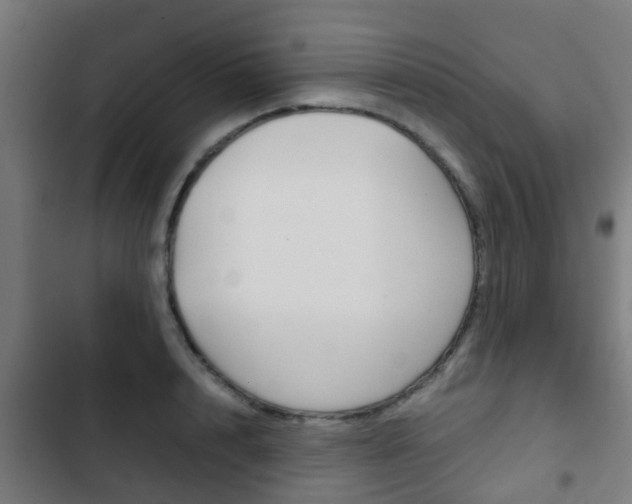 X0000103410848200809120946