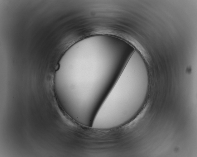 X0000103410849200809120946