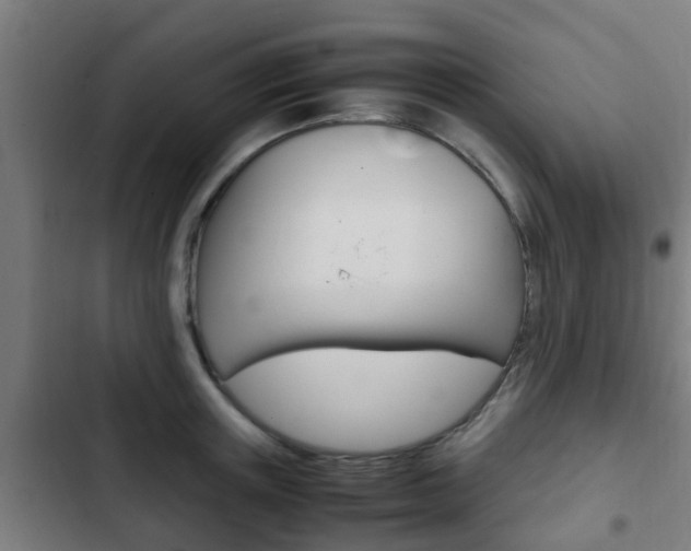 X0000103410851200809120946