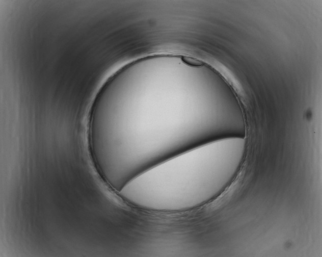 X0000103410854200809120947