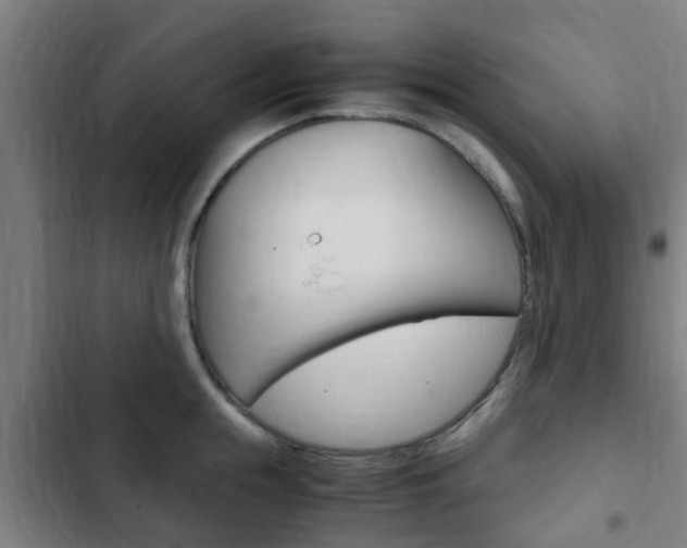 X0000103410855200809120947
