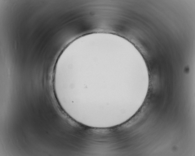 X0000103410856200809120947