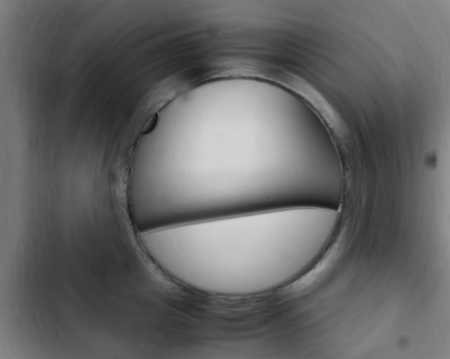 X0000103410857200809120947