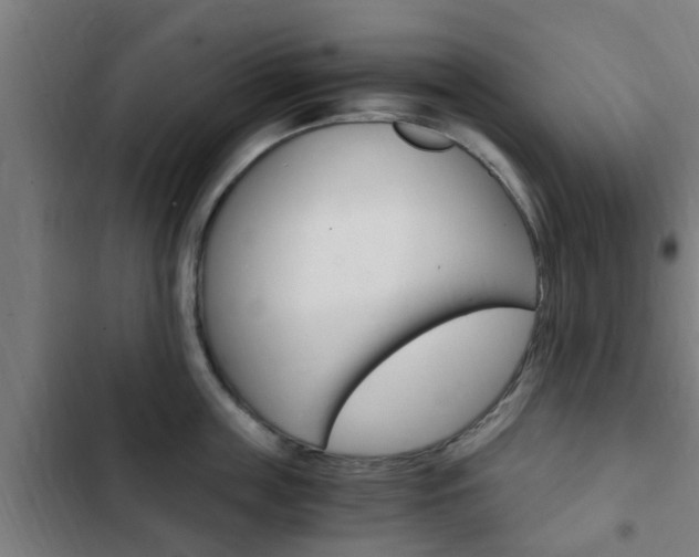 X0000103410859200809120947