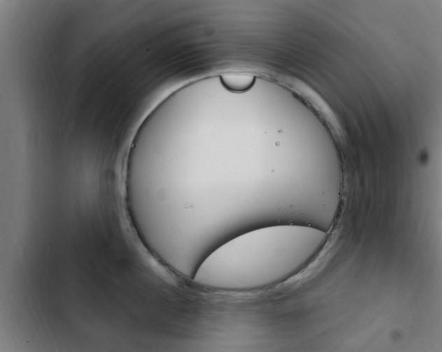 X0000103410860200809120947