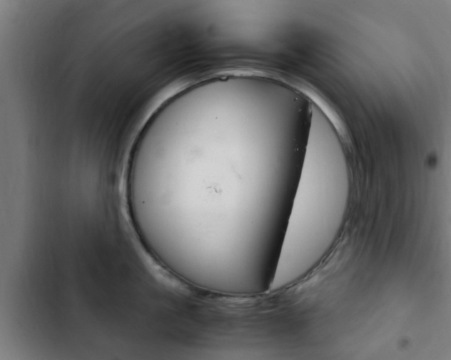 X0000103410861200809120947