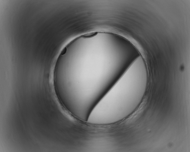 X0000103410862200809120947