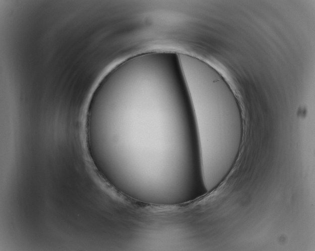 X0000103410864200809120947