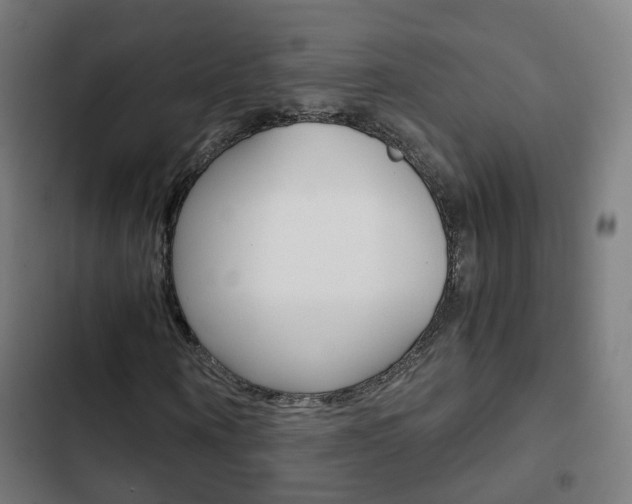 X0000103410866200809120946