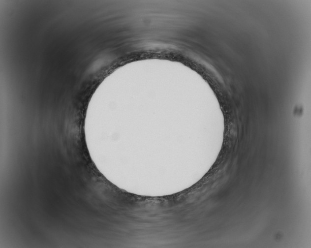 X0000103410869200809120946