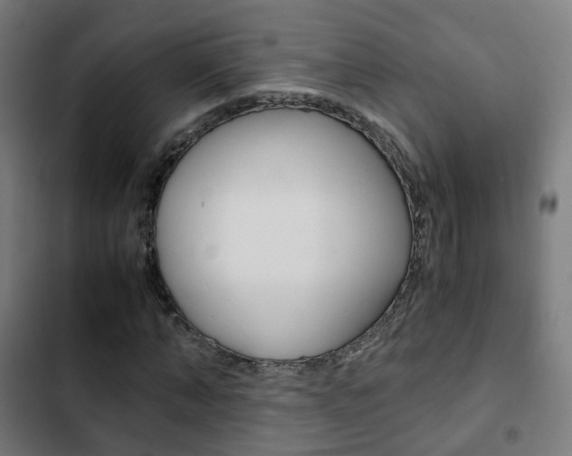 X0000103410870200809120946