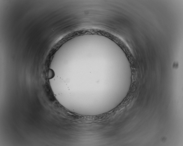X0000103410871200809120946