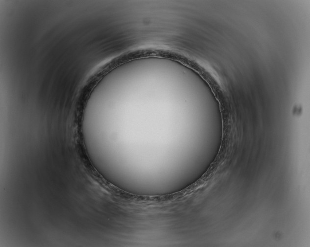X0000103410872200809120946