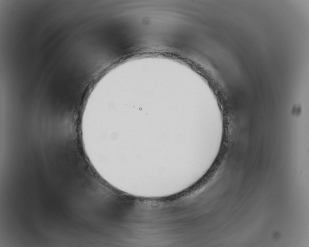 X0000103410873200809120946