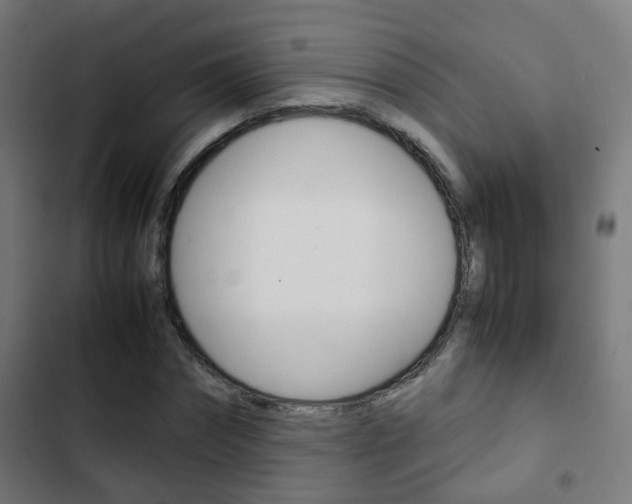 X0000103410874200809120946