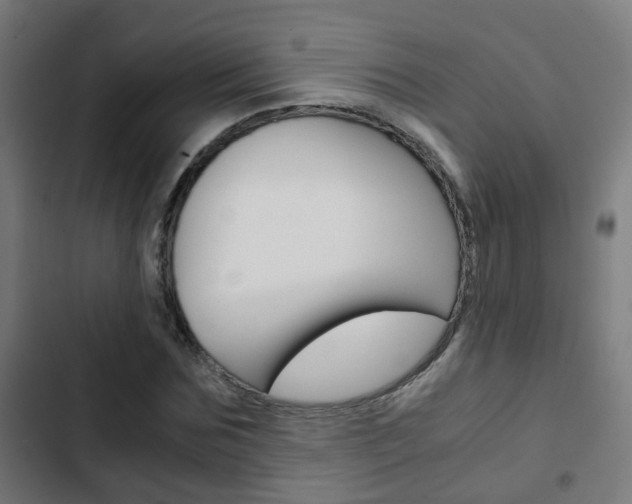 X0000103410875200809120946