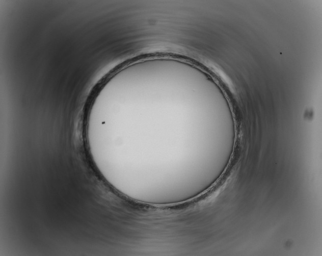X0000103410877200809120946
