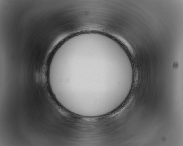 X0000103410878200809120946