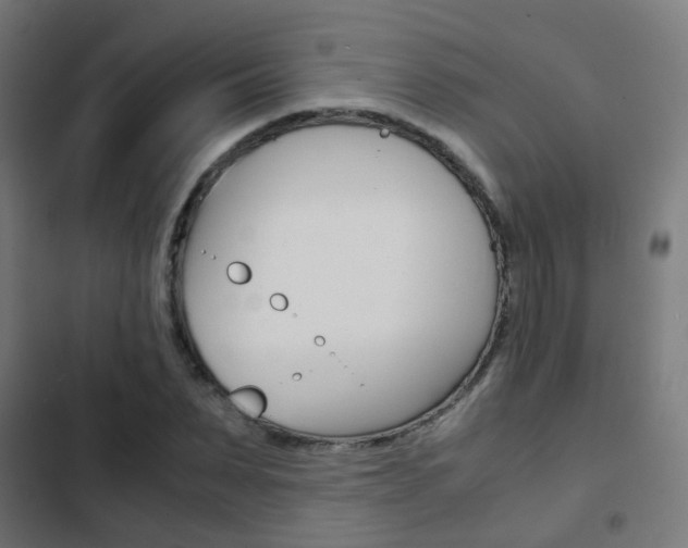 X0000103410879200809120946