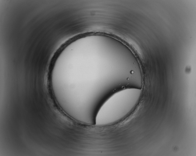 X0000103410880200809120946
