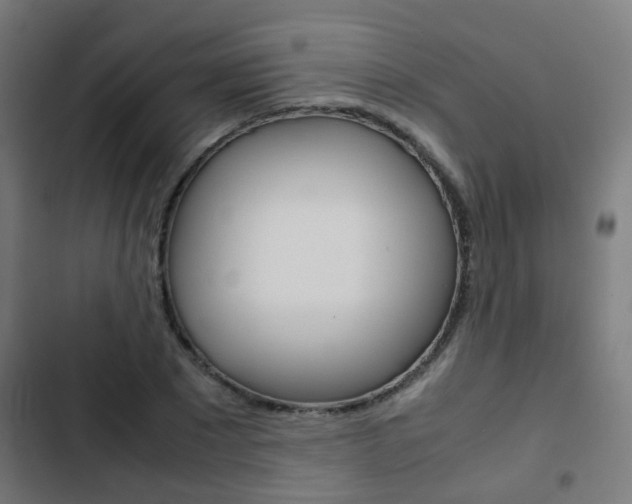 X0000103410881200809120946