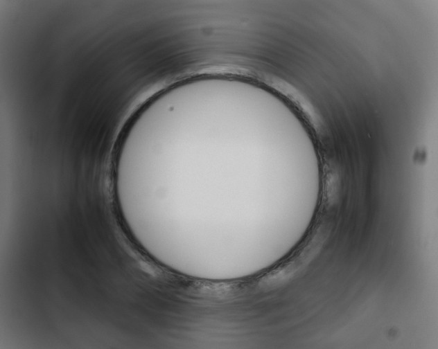 X0000103410882200809120946