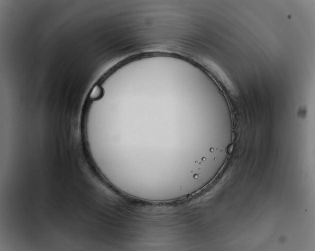X0000103410884200809120946