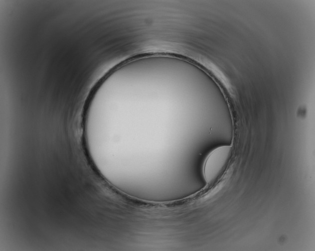 X0000103410885200809120946