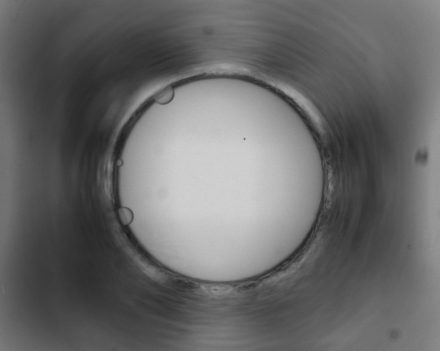 X0000103410886200809120946