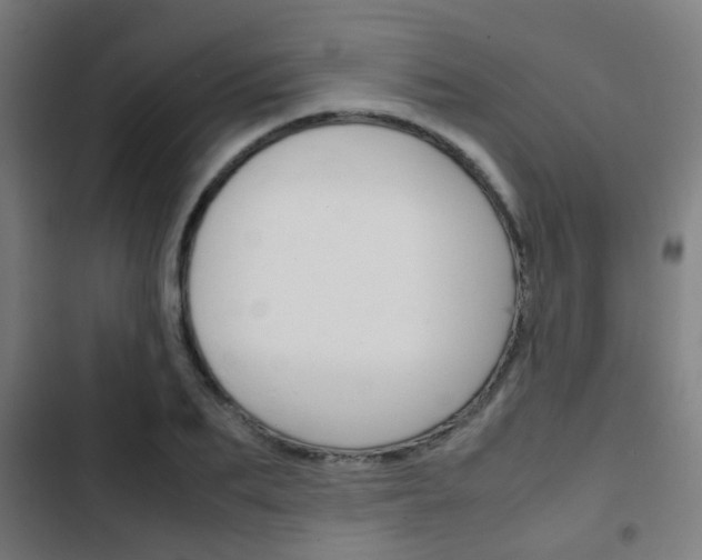 X0000103410887200809120946