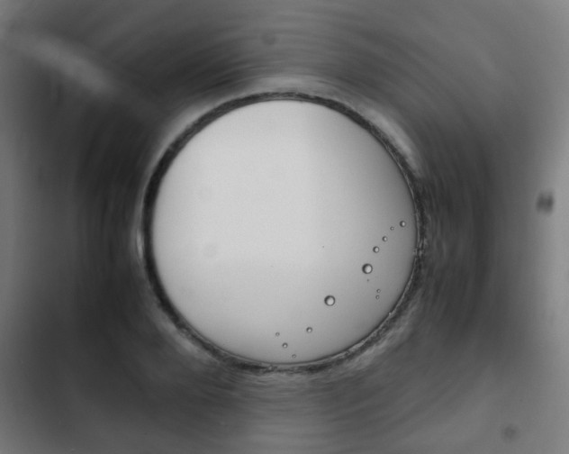 X0000103410888200809120946