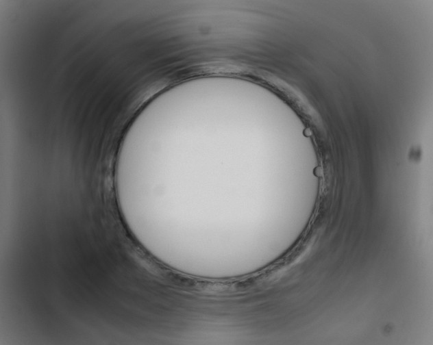 X0000103410889200809120946