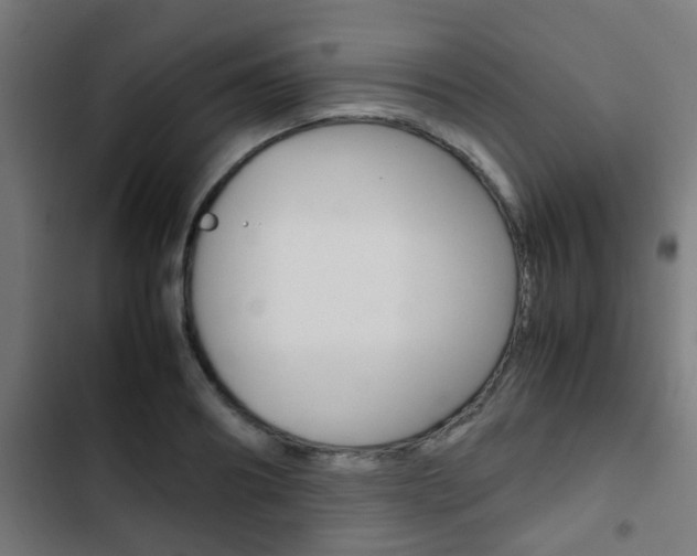 X0000103410890200809120945