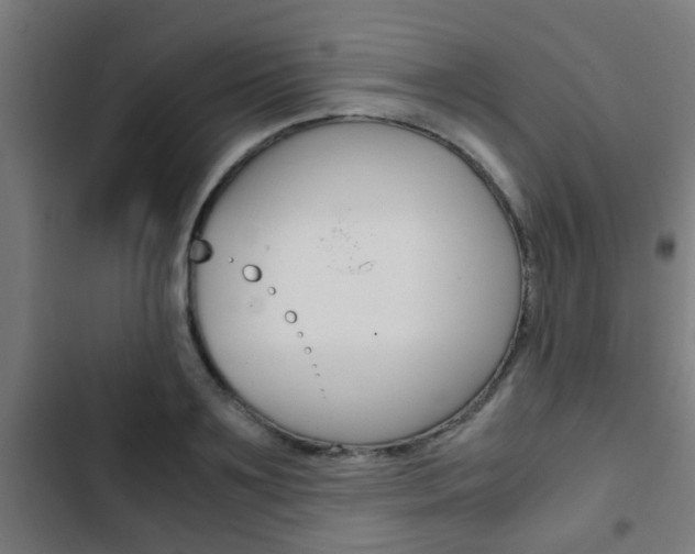 X0000103410891200809120945