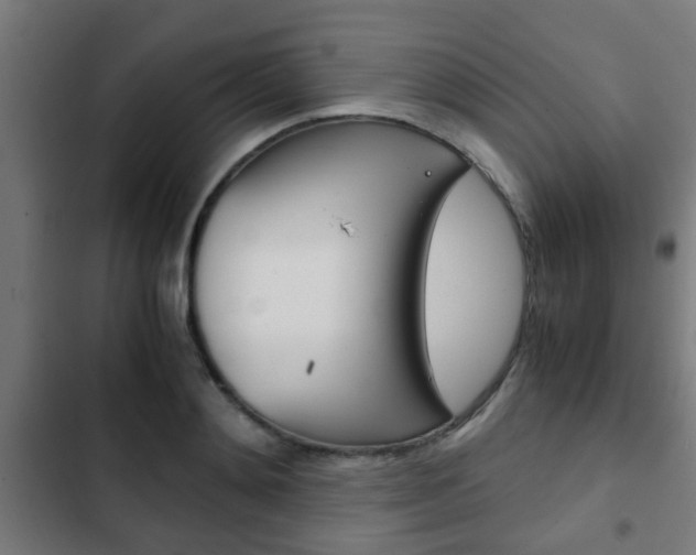 X0000103410892200809120945