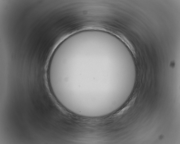X0000103410893200809120945