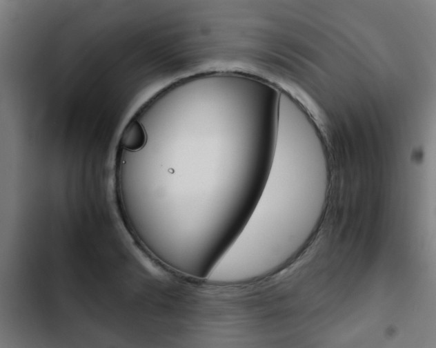 X0000103410894200809120945
