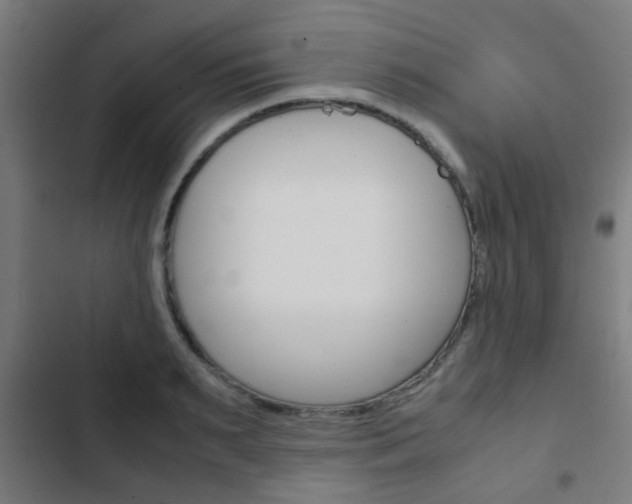X0000103410895200809120945