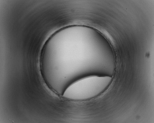 X0000103410896200809120945