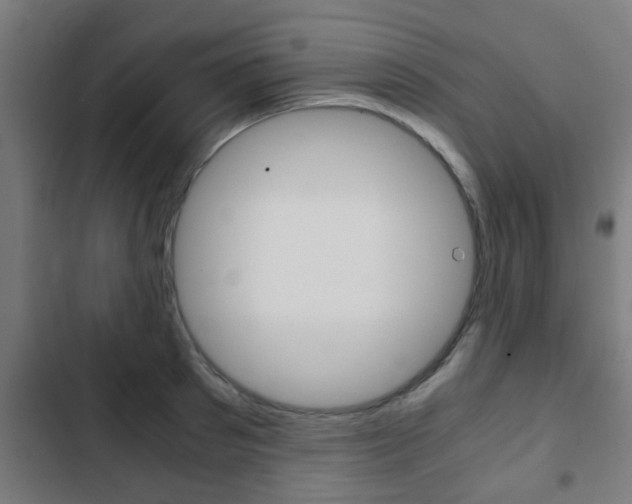 X0000103410897200809120945