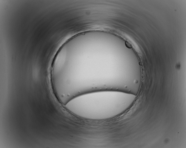 X0000103410899200809120945