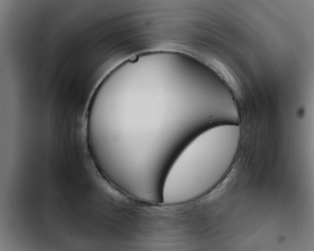 X0000103410900200809120945
