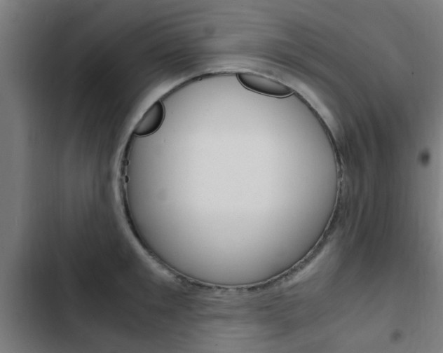 X0000103410901200809120945
