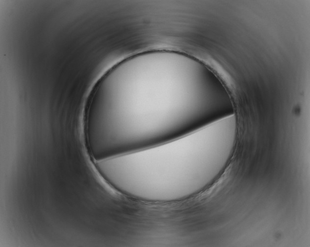 X0000103410902200809120945