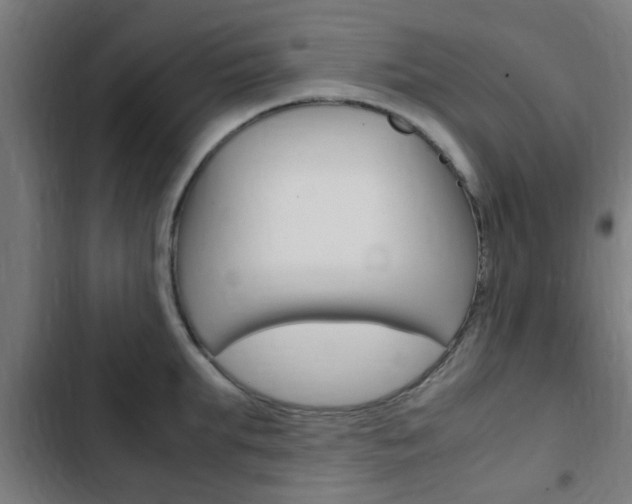 X0000103410903200809120945