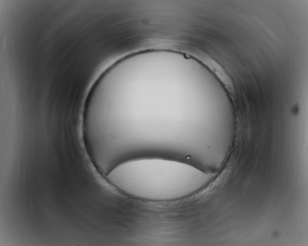 X0000103410904200809120945