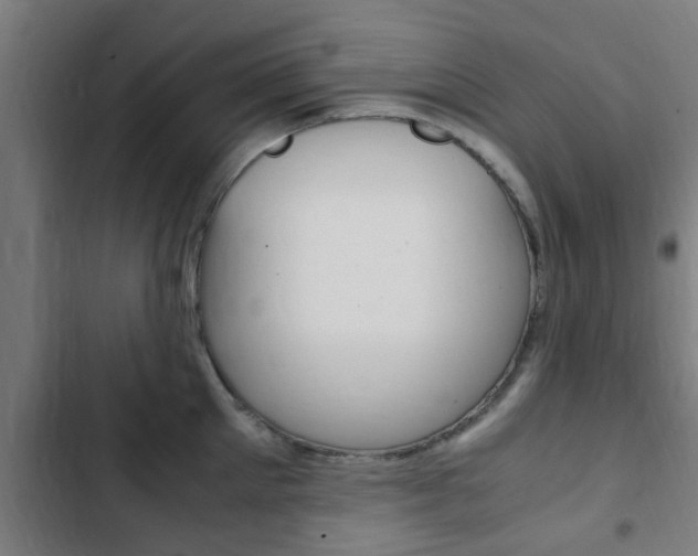 X0000103410905200809120945