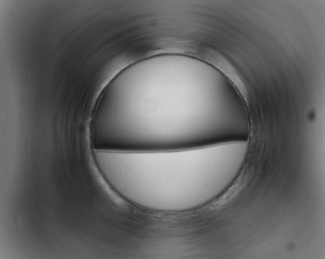 X0000103410906200809120945