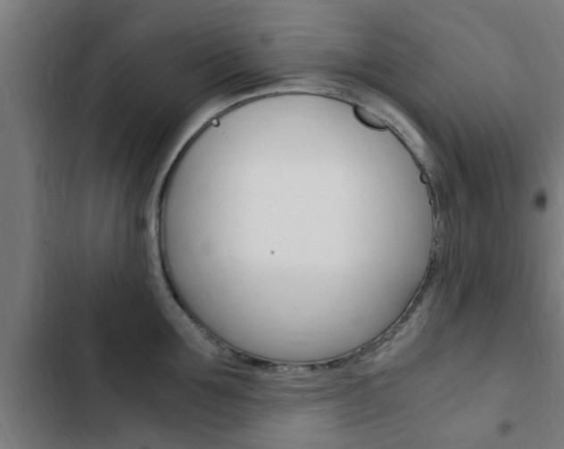 X0000103410907200809120945