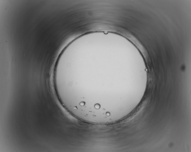 X0000103410909200809120945